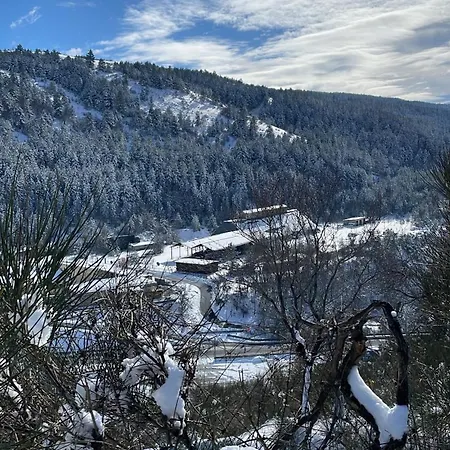 Piazzetta Del Forno - Monolocale