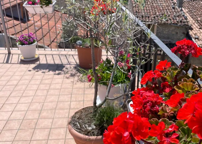 Piazzetta Del Forno - Monolocale Daire