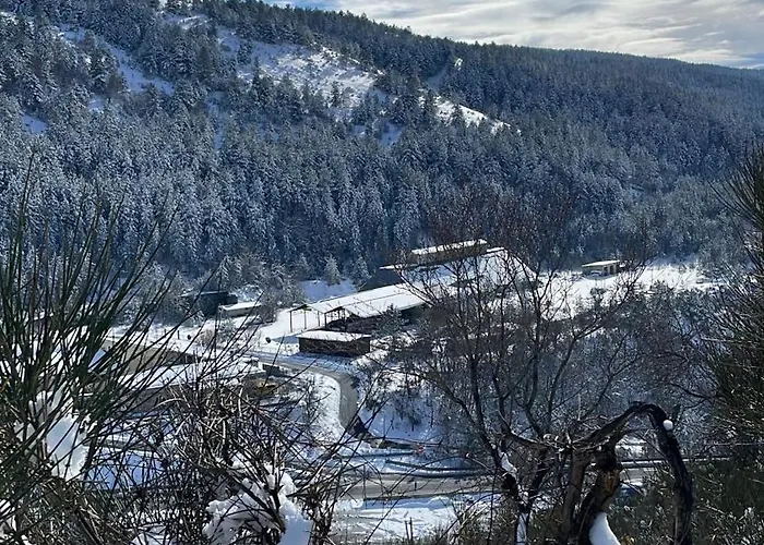 Piazzetta Del Forno - Monolocale